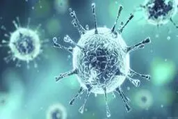 با طب سنتی به جنگ کرونا بروید/ پیشگیری از کرونا چگونه ممکن است؟