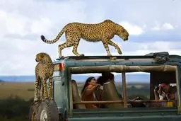 این تصویر فتوشاپ نیست/ عکس