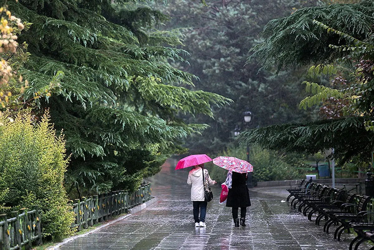 تصاویر / بارندگی به داد تهرانی ها رسید