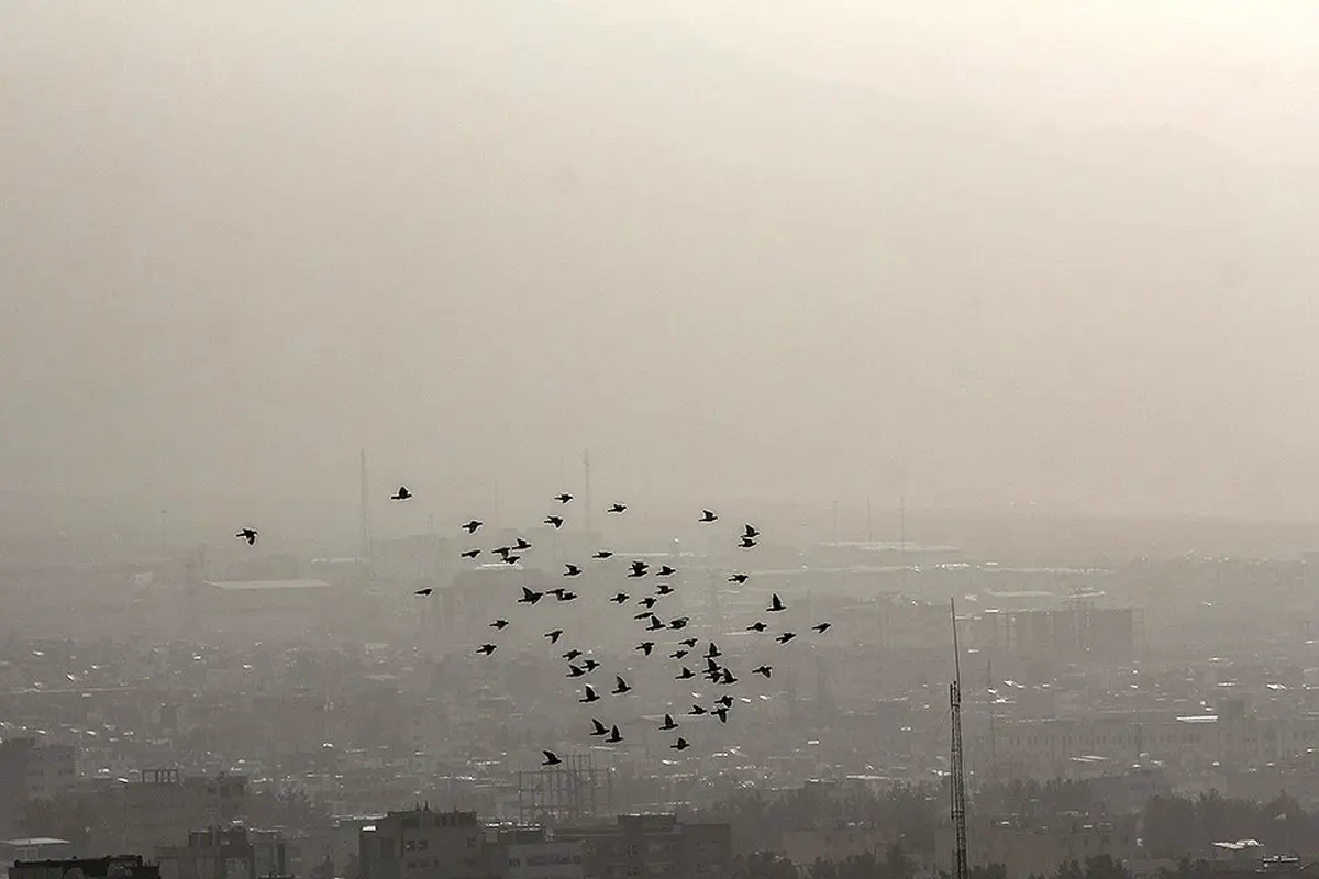 بیرجند در «غبار»