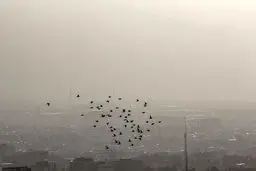 بیرجند در «غبار»