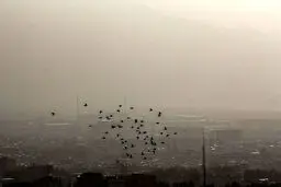 بیرجند در «غبار»