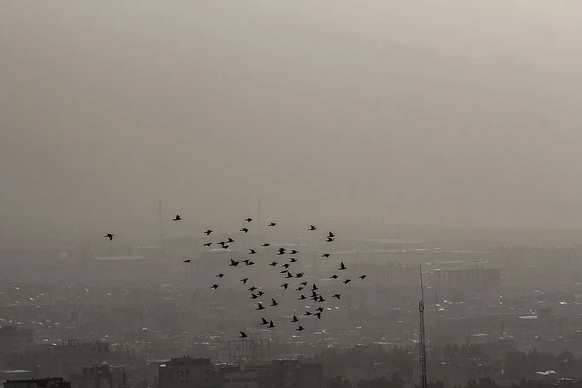 بیرجند در «غبار»