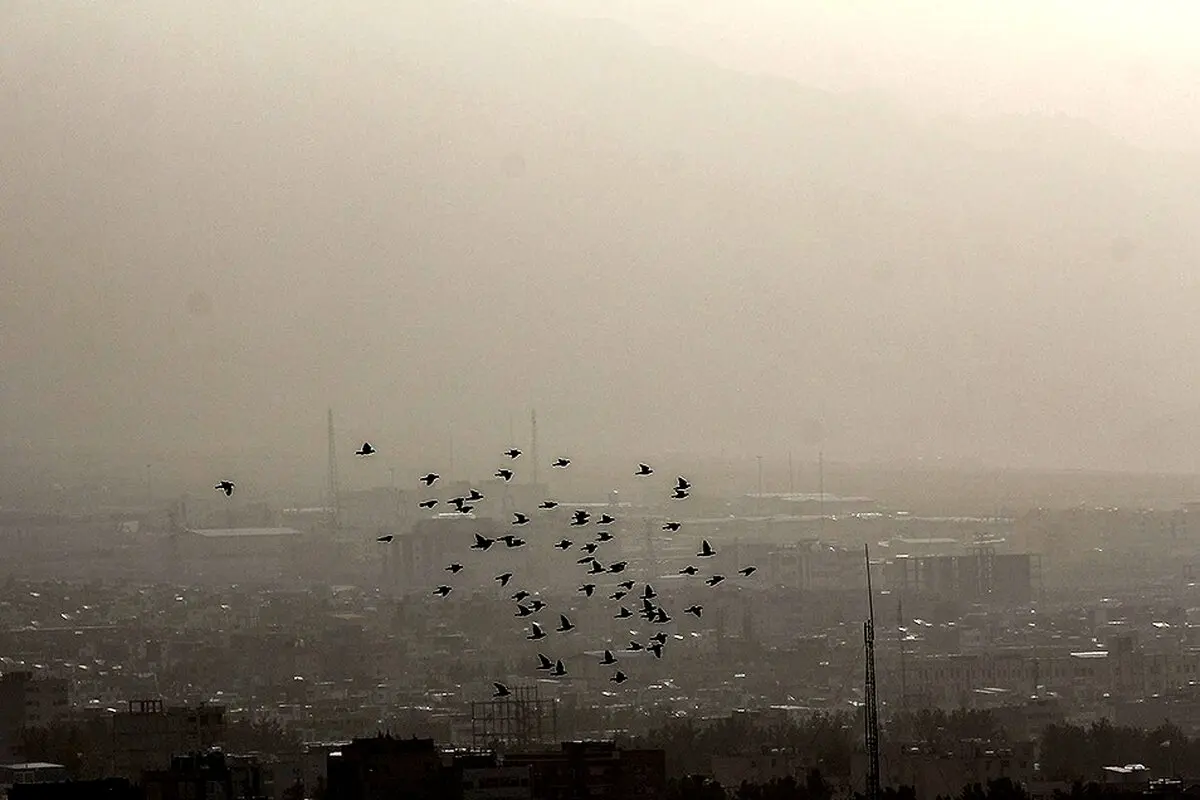 بیرجند در «غبار»