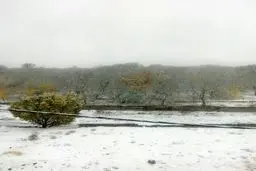 بارش برف در مناطق شمال غرب کشور/عکس