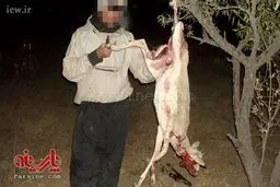 شکارچی بی رحم 11 ماده آهو بازداشت شد + عکس