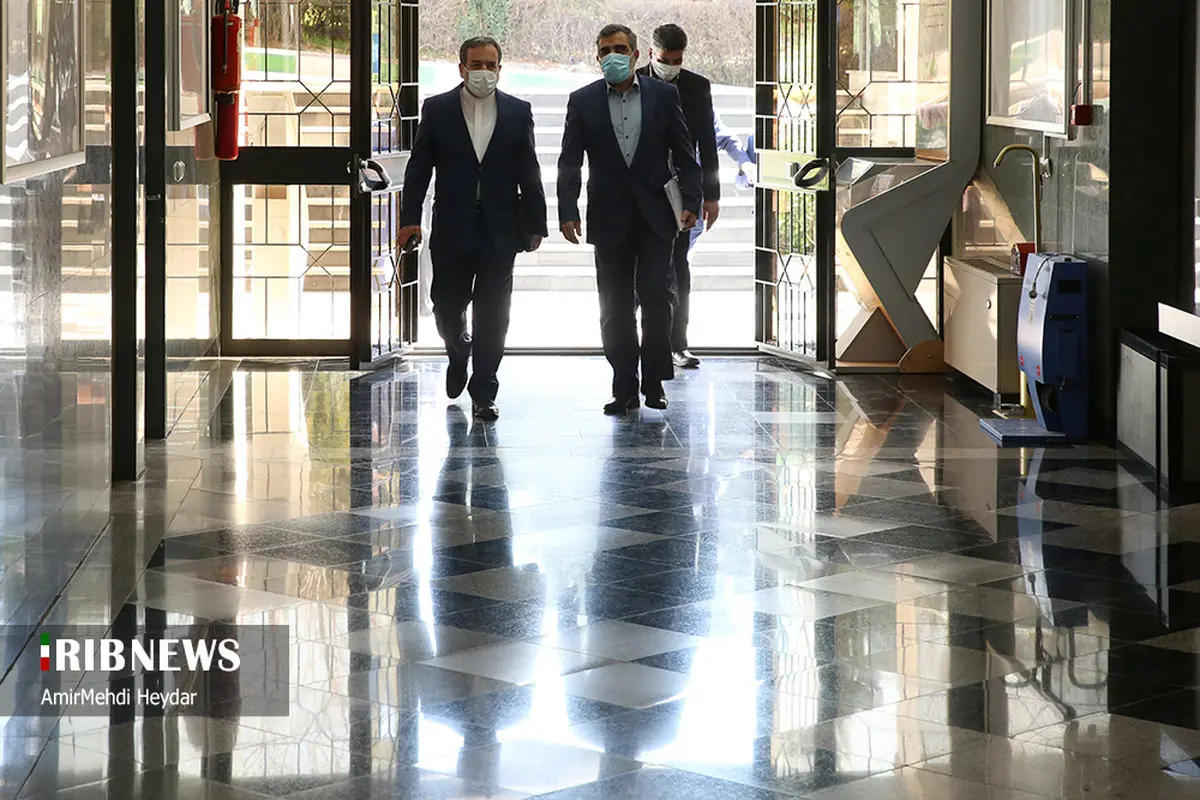 تصاویر دیده نشده از دیدار رافائل گروسی با صالحی