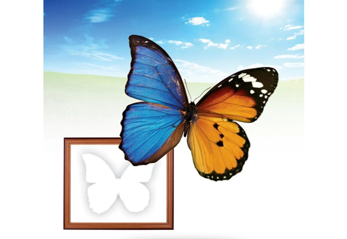 دیدگاه رامبد جوان، بهرام رادان، شهاب حسینی و دیگر ستاره‌ها درباره پیوند اعضا