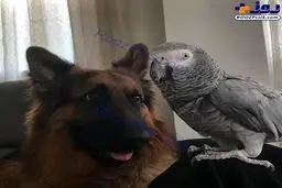 دو عضو عجیب و غریب خانواده خانم بازیگر /عکس