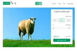 خرید اینترنتی گوسفند زنده از دامکالا