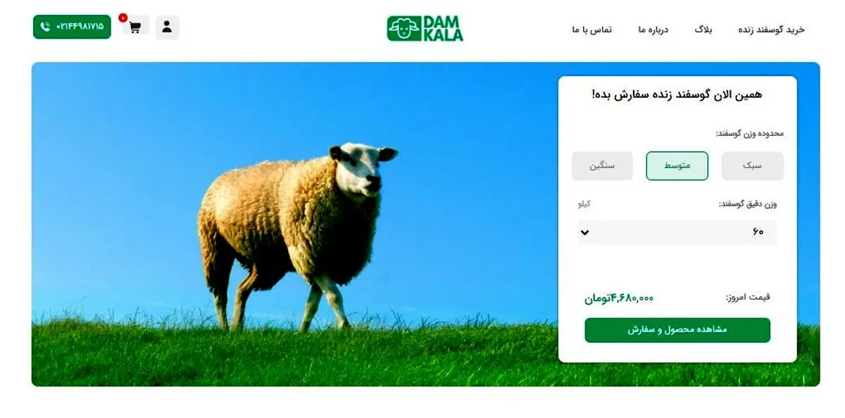 خرید اینترنتی گوسفند زنده از دامکالا